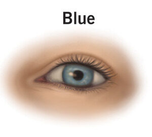 Blue Eyes