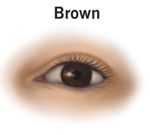 Brown Eyes