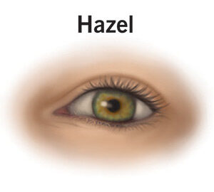 Hazel Eyes